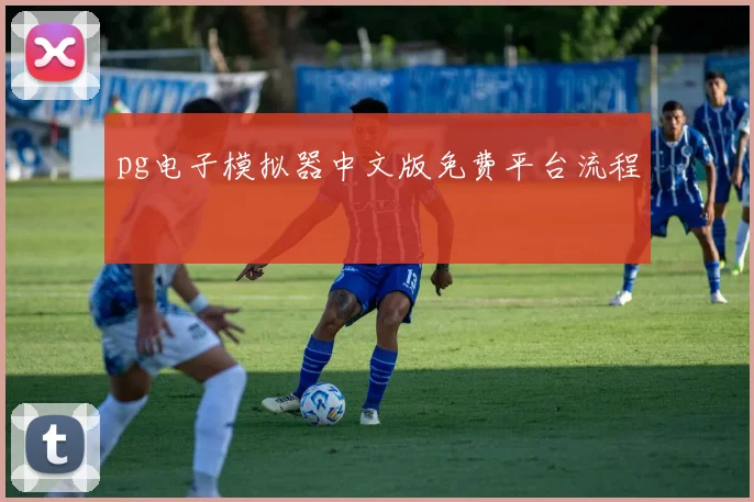 pg电子模拟器中文版免费平台流程