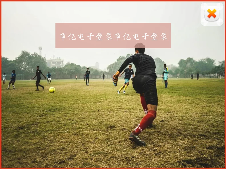 华亿电子登录华亿电子登录