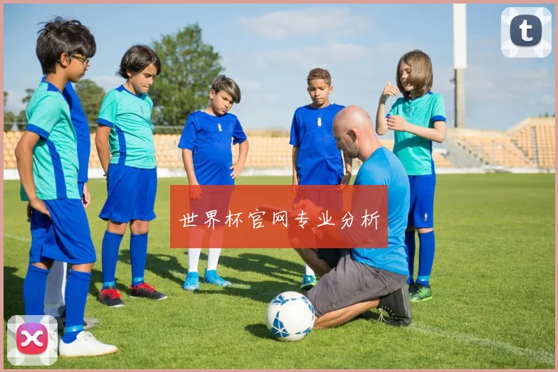 世界杯官网专业分析
