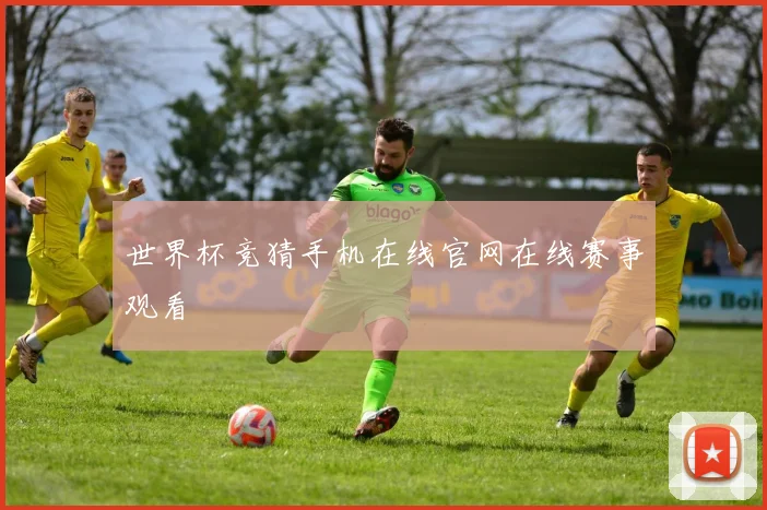 世界杯竞猜手机在线官网在线赛事观看