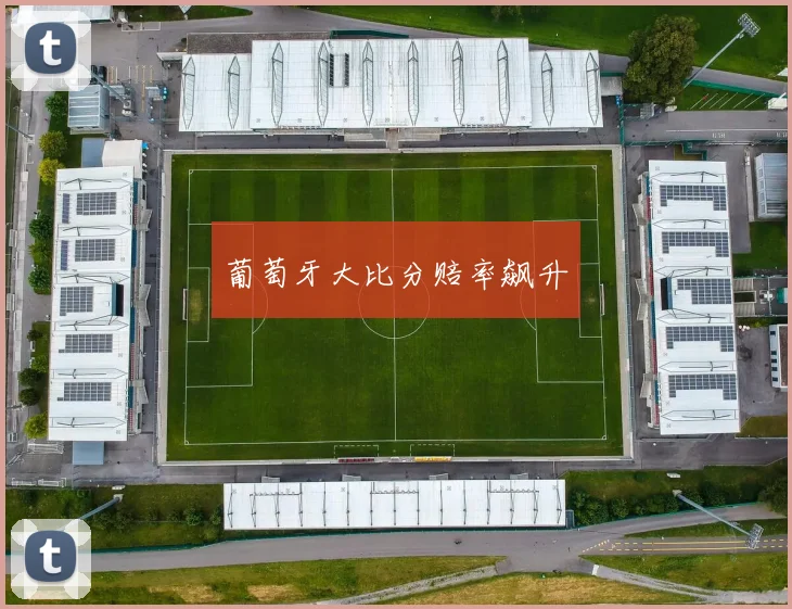葡萄牙大比分赔率飙升