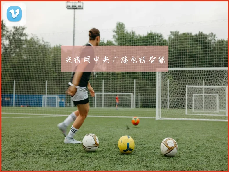 央视网中央广播电视智能