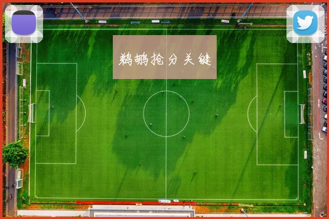 鹈鹕抢分关键