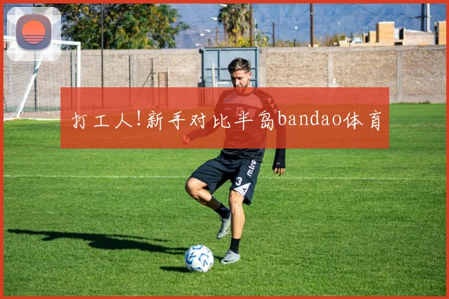 打工人!新手对比半岛bandao体育