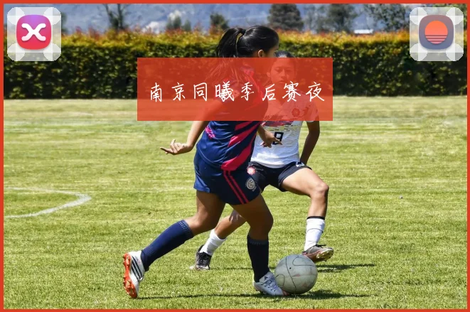 南京同曦季后赛夜