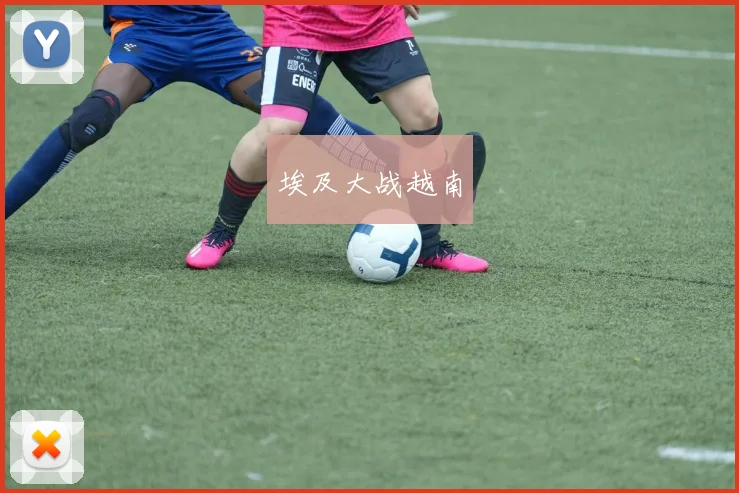 埃及大战越南