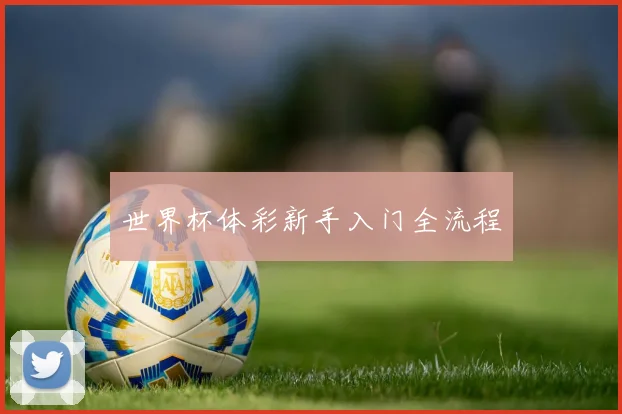 世界杯体彩新手入门全流程