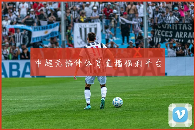 中超无插件体育直播福利平台
