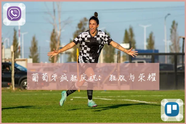 葡萄牙疯狂庆祝：狂欢与荣耀
