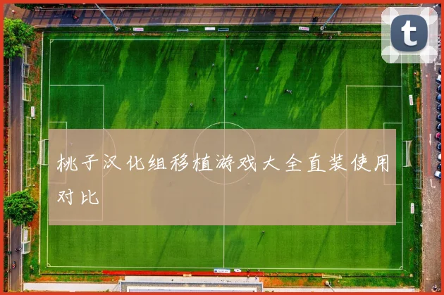桃子汉化组移植游戏大全直装使用对比