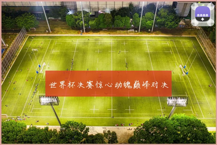 世界杯决赛惊心动魄巅峰对决