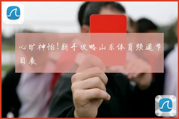 心旷神怡!新手攻略山东体育频道节目表