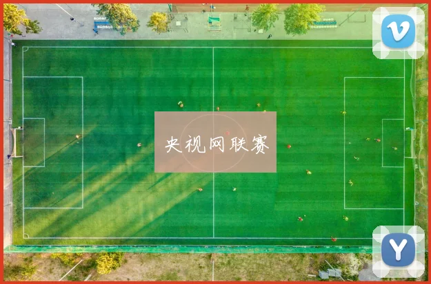 央视网联赛