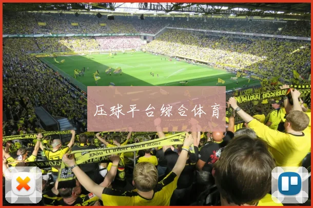 压球平台综合体育