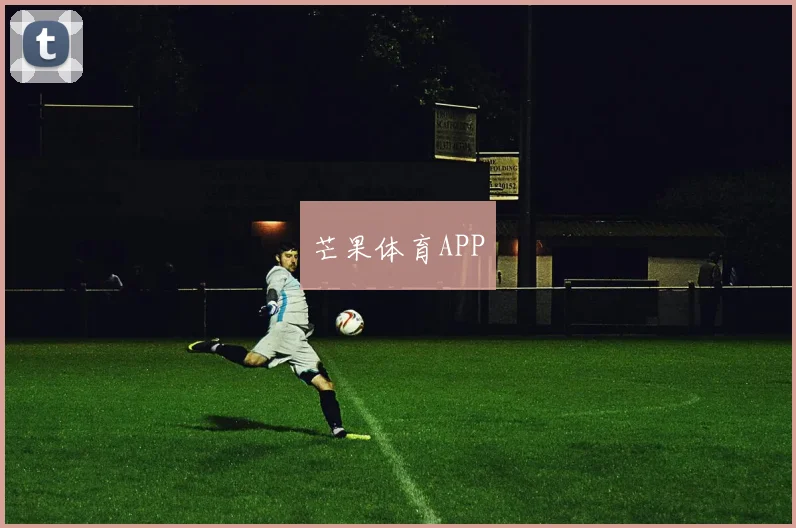 芒果体育APP