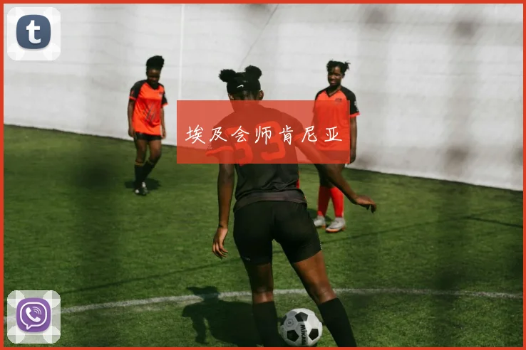 埃及会师肯尼亚
