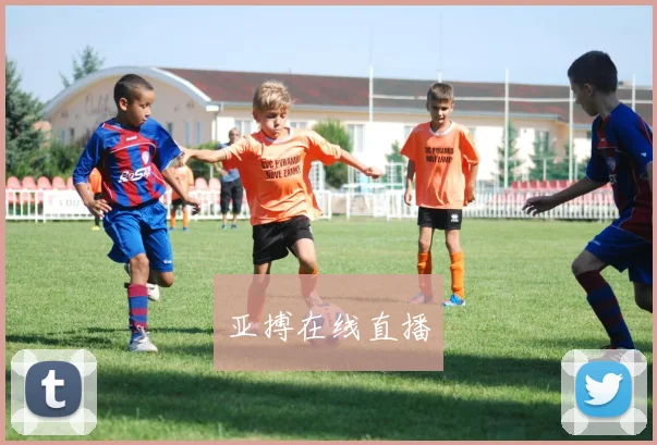 亚搏在线直播