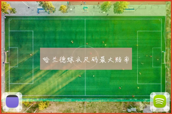 哈兰德球衣尺码最大赔率
