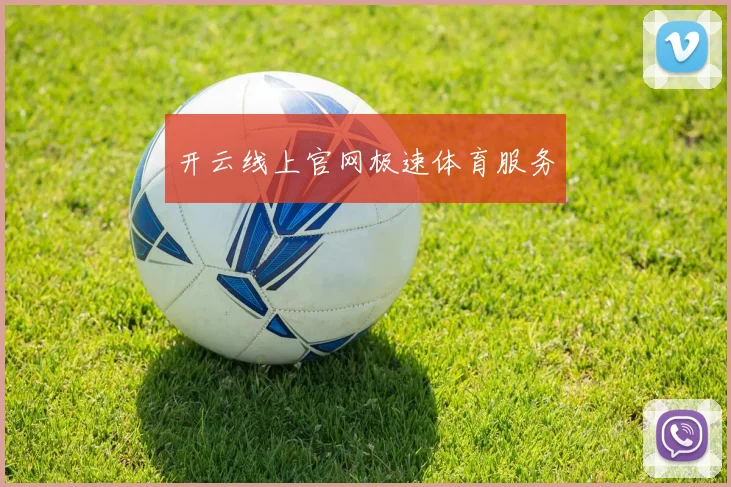 开云线上官网极速体育服务