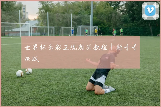 世界杯竞彩正规购买教程|新手手机版