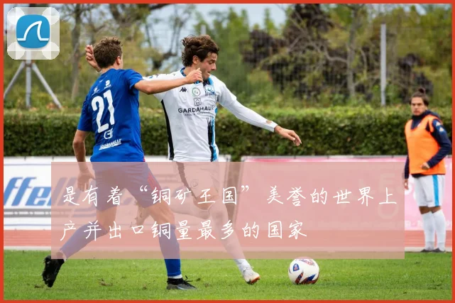 是有着“铜矿王国”美誉的世界上产并出口铜量最多的国家