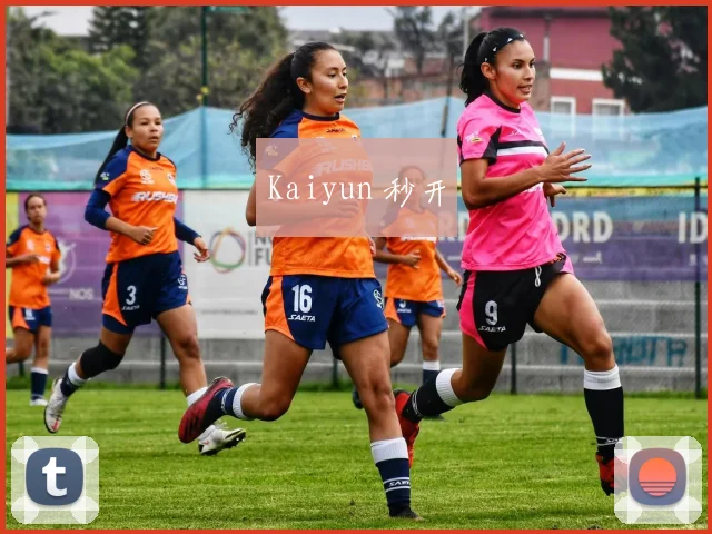Kaiyun 秒开