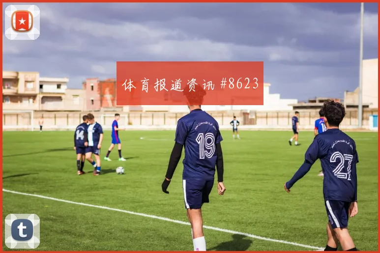 2026世界杯沙特核心球员状态