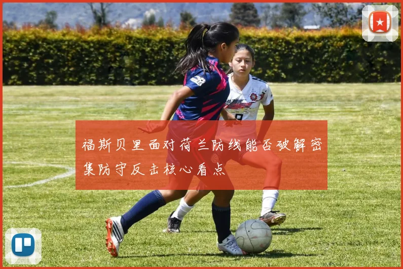 福斯贝里面对荷兰防线能否破解密集防守反击核心看点