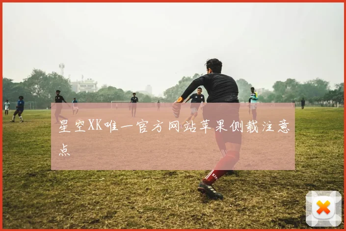星空XK唯一官方网站苹果侧载注意点