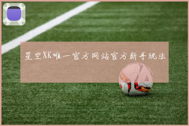 星空XK唯一官方网站官方新手玩法