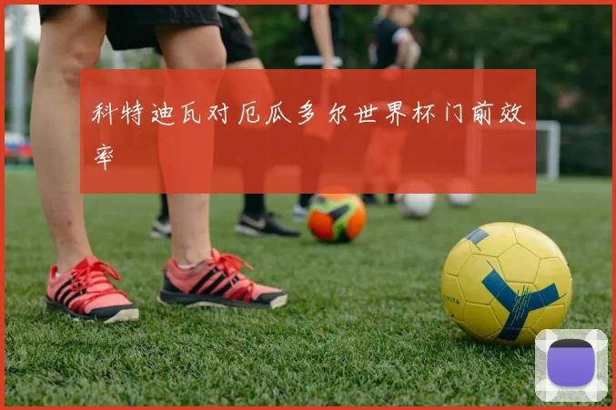 科特迪瓦对厄瓜多尔世界杯门前效率