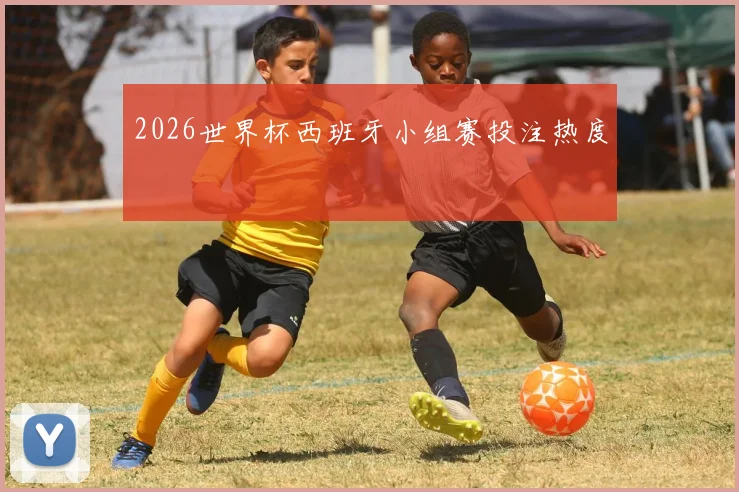 2026世界杯西班牙小组赛投注热度