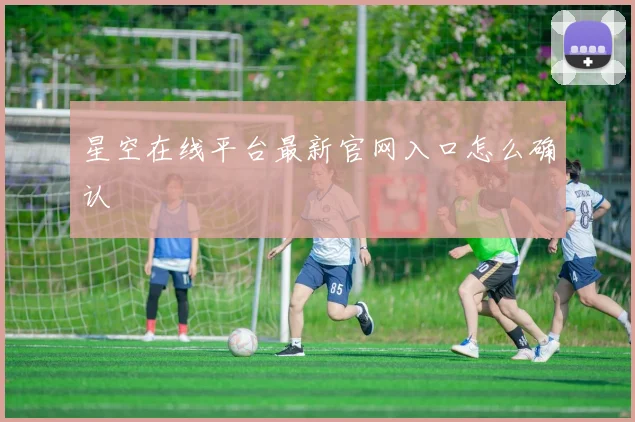 星空在线平台最新官网入口怎么确认