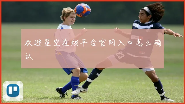 欢迎星空在线平台官网入口怎么确认